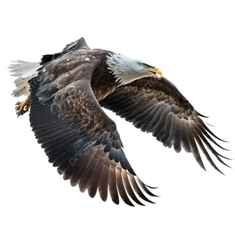 The Eagles Wings Are Transparent On A White Background, Eagle, Wing ...