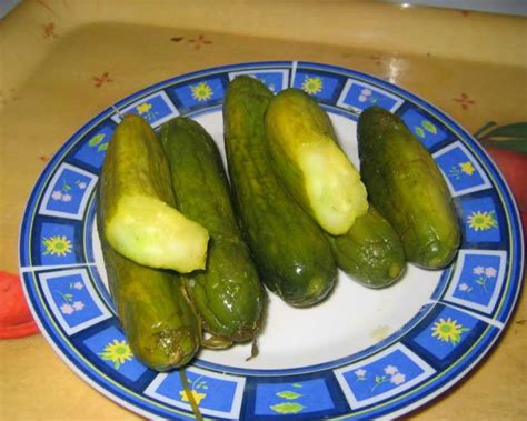 Garlic And Dill Pickled Cucumbers Gherkins Recipe