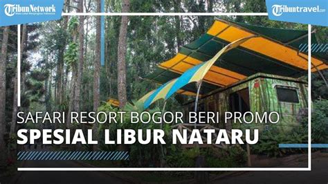 Tempat Wisata Safari Resort Bogor Memberikan Penawaran Spesial Liburan