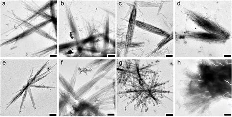 6 Tem Images Of V Amylose Complexed With Ethyl Butyrate A Ethyl