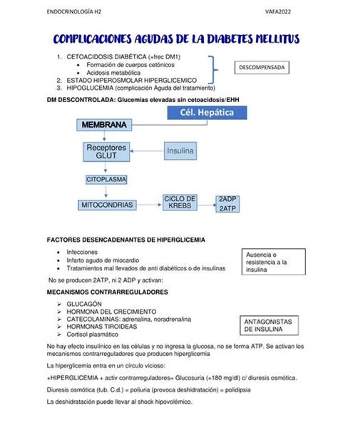 Complicaciones Agudas De La Diabetes Mellitus Vania Alejandra Flores Arellano Udocz