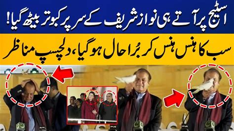 Pigeon Sit On Nawaz Sharifs Head Funny Moment In Pmlns Minar E