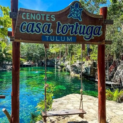 Cenote Casa Tortuga Un Para So Escondido En La Riviera Maya