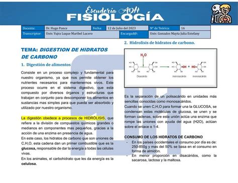 Digestión de hidratos de carbono GABRIELA LUCAS uDocz