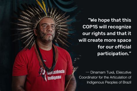 Meet 4 Inspiring Indigenous Leaders At Cop15 Greenpeace International