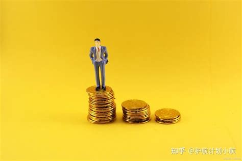 股东借款可以转实收资本吗？ 知乎