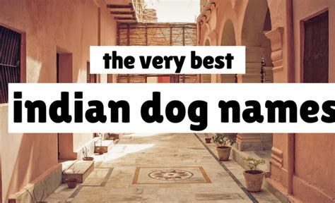 70+ Indian and Hindu Dog Names: Great Names For Your Pooch!