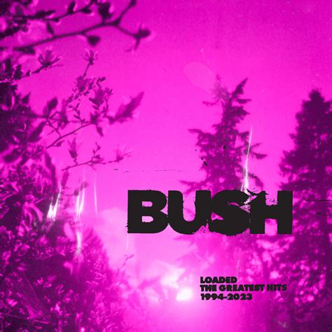 Bush Comedown Lyrics Genius Lyrics