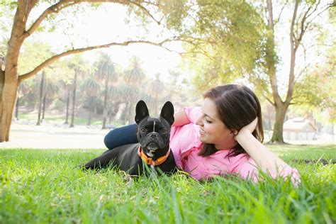 People Are More Empathetic to Dogs Than Other Humans