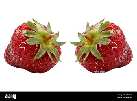 Strawberry Isolated On White Background Fresh And Juicy Strawberry