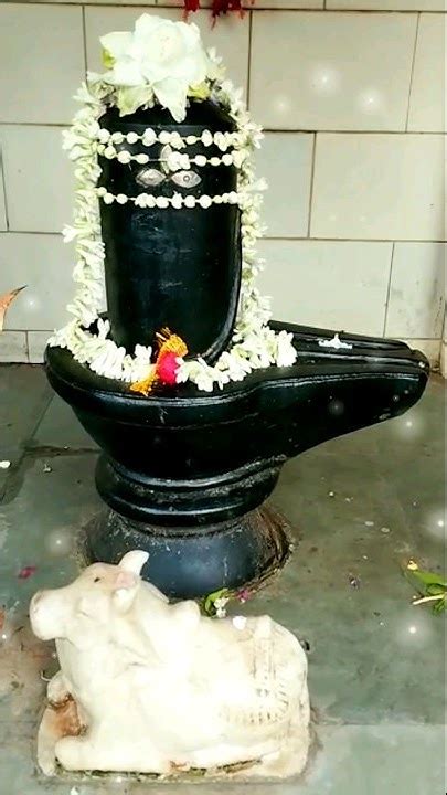 Om Namah Shivaya 🕉️🔱🕉️🔱🚩🙏 Viralvideo Shortvideo Omnamahshivaya