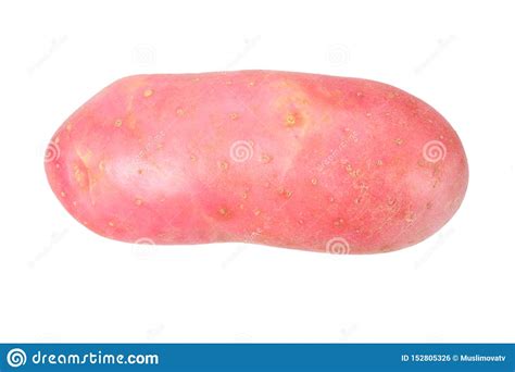 Batata Vermelha Crua Isolada No Fundo Branco Foto De Stock Imagem De