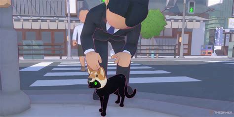 All Nap Spot Locations In Little Kitty, Big City