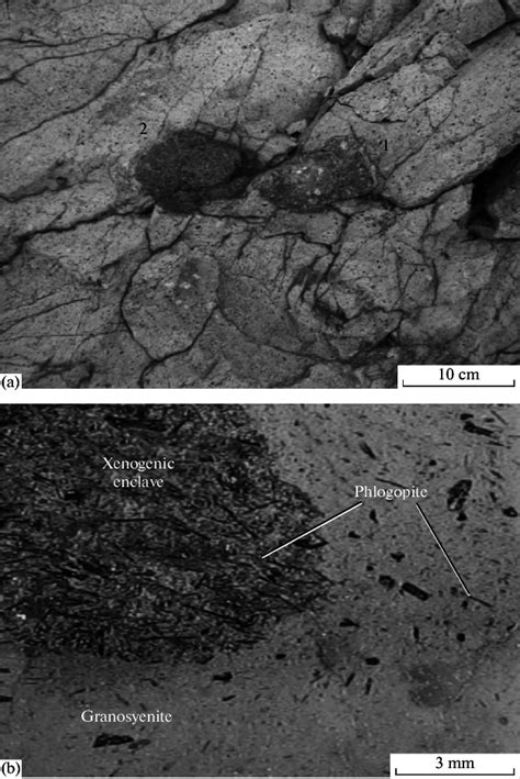 Xenogenic Enclaves In The Granosyenites Of Mt Zmeika A 1 Gabbro