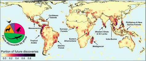 Top 15 species discoveries from 2021 (Photos) - Pattrn