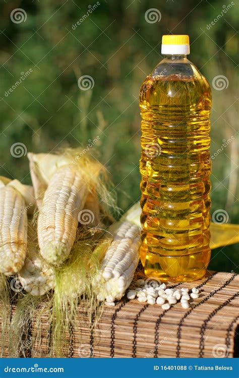 Bottle Of Oil And Corn Stock Photo Image Of Concept 16401088