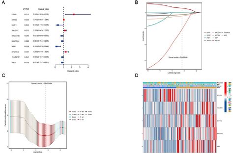 Figure From Construction And Analysis Of A Prognostic Model For