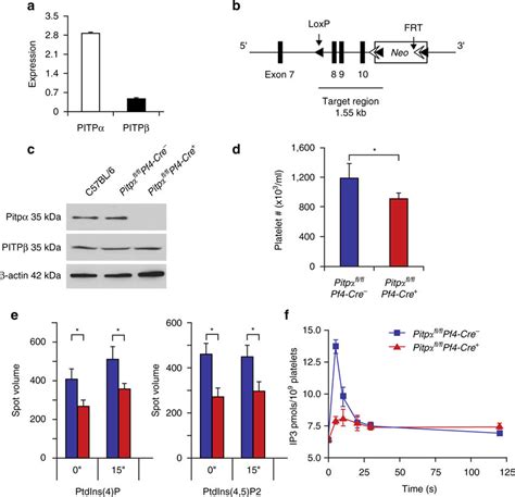 Pitp Mediates Ptdins Synthesis And Ip Production In Mouse Platelets