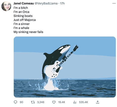 Guitar Orca | Orca Wars / Killer Whales Attacking Boats | Know Your Meme