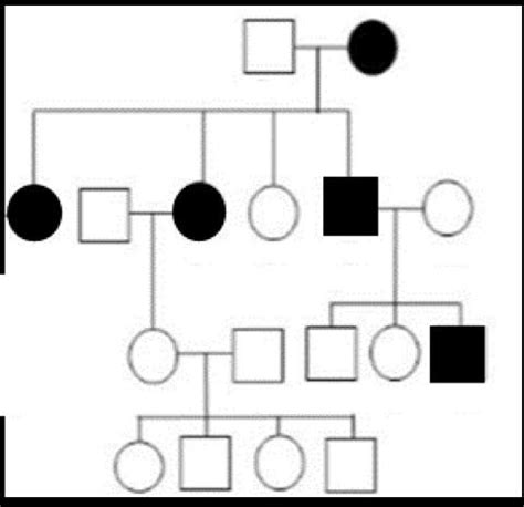 Solved The Pedigree Shown Below Demonstrates The Inheritance Chegg