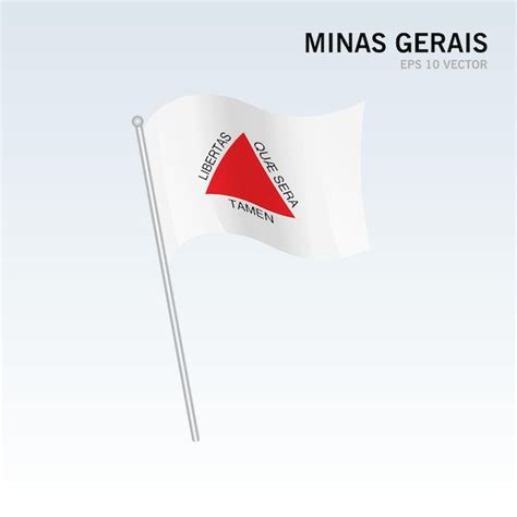 Bandeira Dos Estados De Minas Gerais Distrito Federal Do Brasil