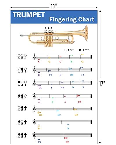 QMG Trumpet Fingering Chart With Color Coded Notes Learn Trumpet