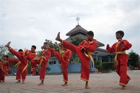 Unesco Tetapkan Pencak Silat Sebagai Warisan Budaya Tak Benda Mitra