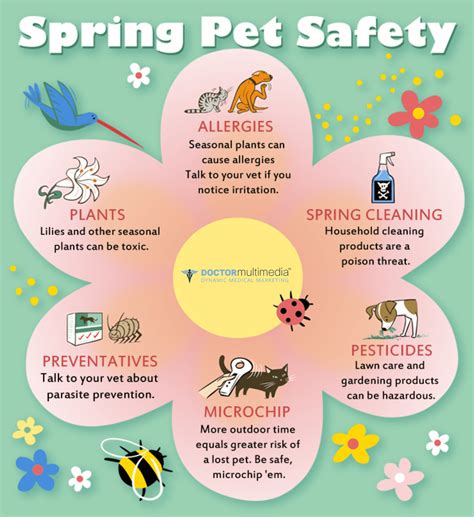 Spring Pet Care Safety Options For Animals