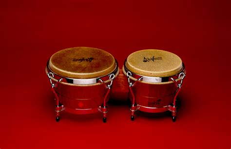 LP Bongo Drums | Smithsonian Institution