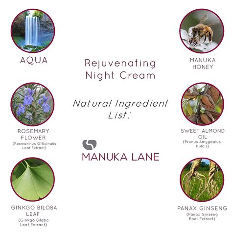 Manuka Lane Night Cream with Retinol, Manuka Honey & Peptides for