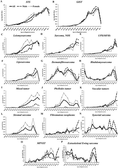 Age Specific Incidence Rates Of Sts And Gist By Major Histological Type Download Scientific