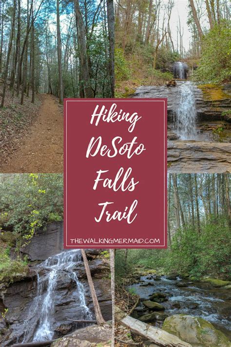 DeSoto Falls Trail, Cleveland, Georgia | Desoto falls, Georgia travel ...