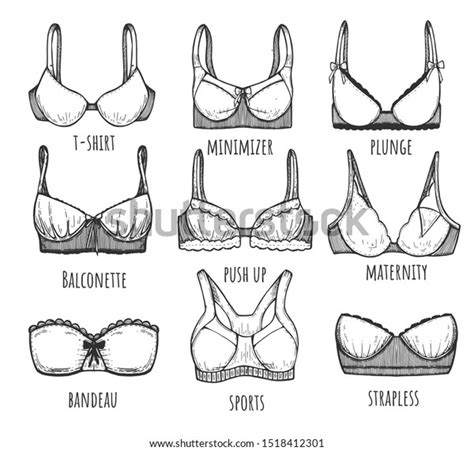 Illustration Lingerie Bra Types Styles Set Stock Illustration Shutterstock