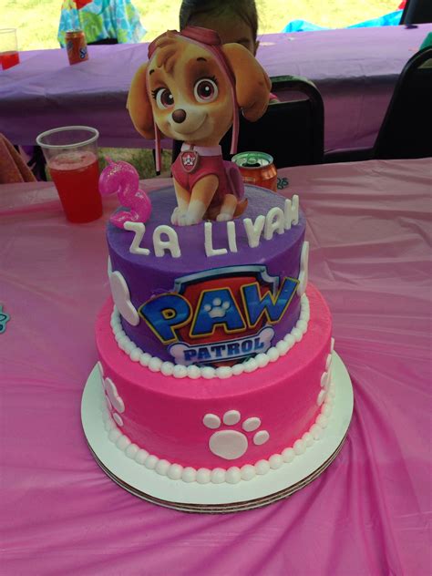 Skye Cake Paw Patrol Birthday Cake Paw Patrol Birthday Party Paw