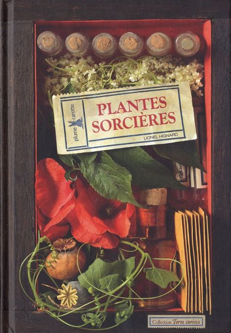 Plantes Sorcières Le Pouvoir Des Plantes Magie Verte Plante