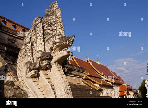 5 headed snake hi-res stock photography and images - Alamy