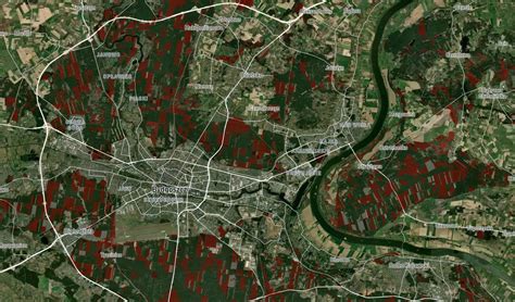 Wycinki Drzew W Kujawsko Pomorskich Lasach Jest Interaktywna Mapa