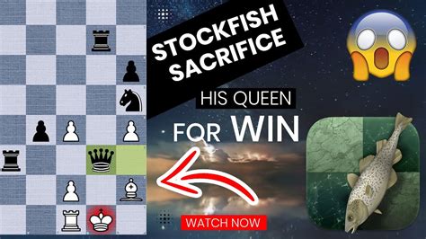 Stockfish Sacrifice His Queen For Win Stockfish Vs Human Chess