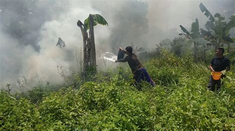 Dalam Dua Bulan 72 Titik Lahan Di Bintan Terbakar Harian Kepri