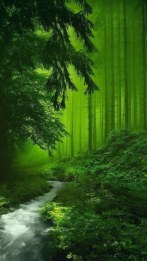 Green Nature Wallpapers Top Free Green Nature Backgrounds