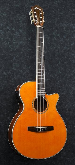 Salvador Ibanez Classical Nylon String Acoustic Electric Guitar Model