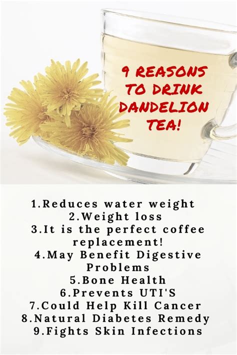 The Health Benefits Of Dandelion Tea Detox
