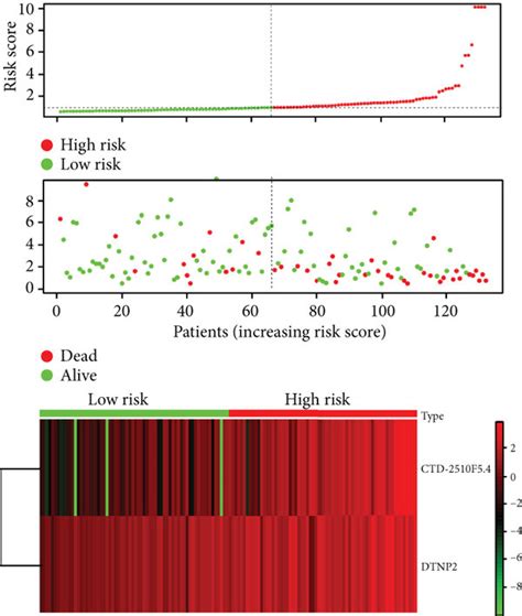 Prognostic Analysis Of The Training Cohort Testing Cohort And Whole