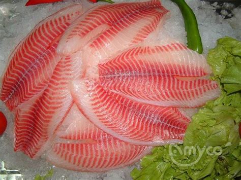 Vannamei Shrimp Choso Amyco Tilapia Producer China Tilapia Frozen