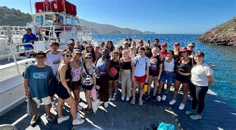 Marine Science Experience On Catalina Island Is Hands On And Paddles