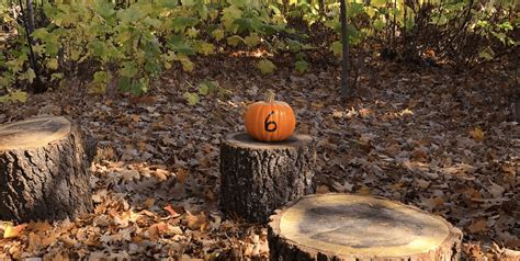 The Great Glensheen Pumpkin Hunt Glensheen