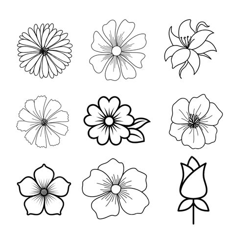 Conjunto De Vectores De Flores Dibujadas A Mano PNG Dibujos Vector De