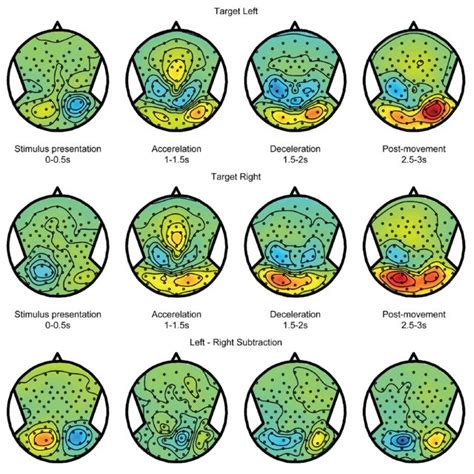 Target Coding Activity Eeg Alpha Band Scalp Topoplots Of The