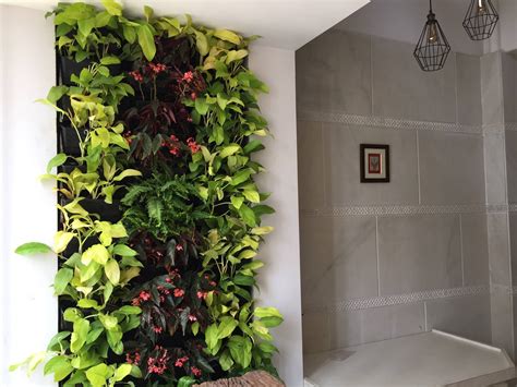 Vertical Wall Gardens Shivneri Garden