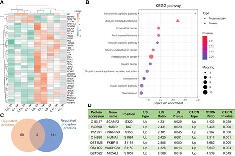 Frontiers Proteomics And Phosphoproteomics Of Chordoma Biopsies